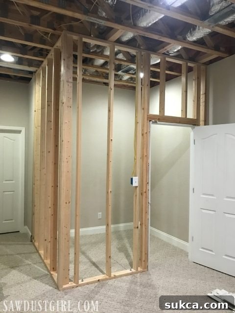 Unfinished basement storage closet awaiting drywall