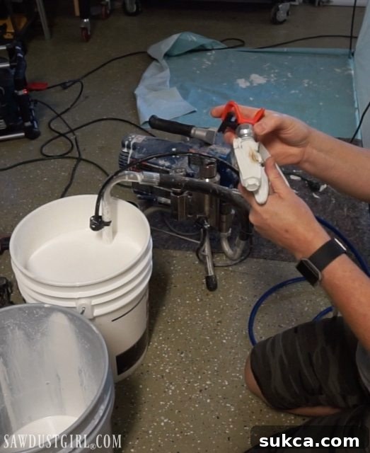 Airless paint sprayer