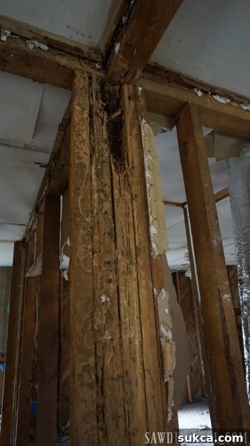Calderwood Cottage Demo Days! Evidence of termite damage found within the walls during demolition.