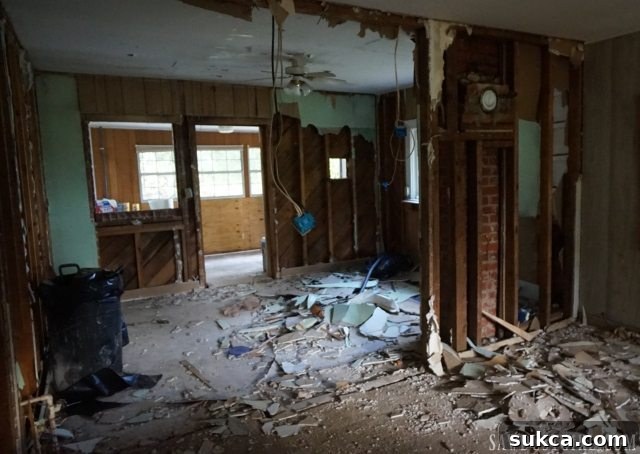 Calderwood Cottage Demo Days! View of the cleared interior space after major demolition.