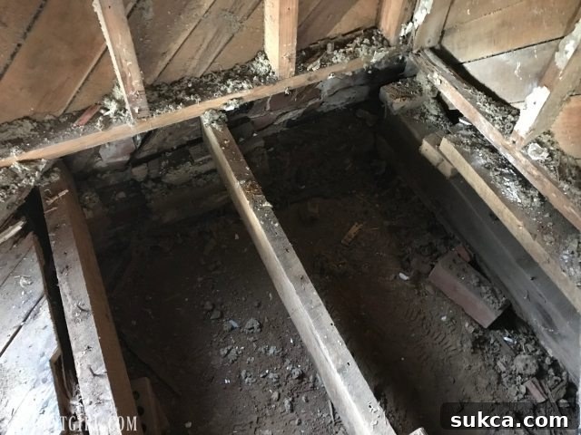 Heavily nailed plywood patch hiding severe termite damage and unsupported subfloor in Calderwood Cottage bedroom