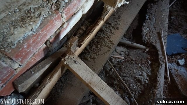 Close-up of severe termite damage on a structural floor joist at Calderwood Cottage