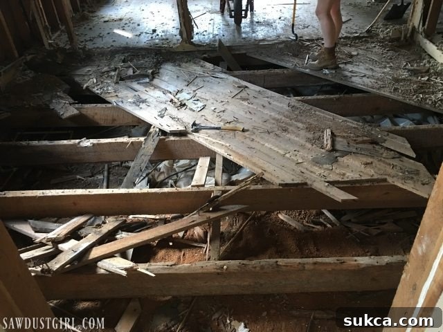 Further subfloor removal at Calderwood Cottage reveals more extensive structural damage to the joists