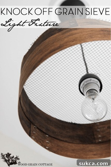 Ceiling light shade ideas