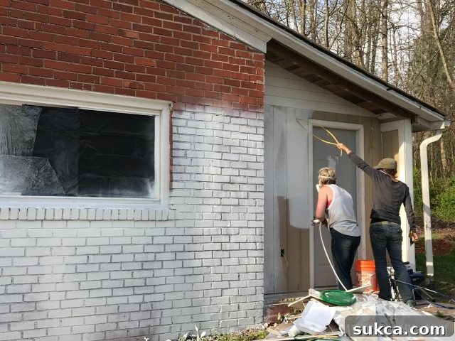 Exterior house painting day progress
