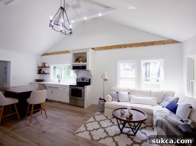 Cathedral vaulted ceiling in the open kitchen and living room area