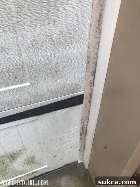 Close-up of dirty and mildew-covered white rubber weather stripping on a garage door