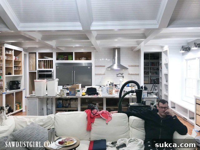 Wes tolerating kitchen renovation mess