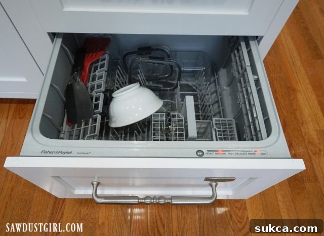 Shallow Bottom Dishwasher Drawer The shallow, low-positioned bottom drawer of a double dishwasher unit, indicating less frequent use.