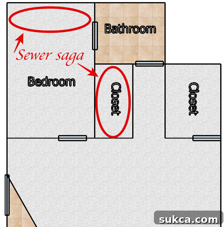 Damaged basement carpet requiring replacement
