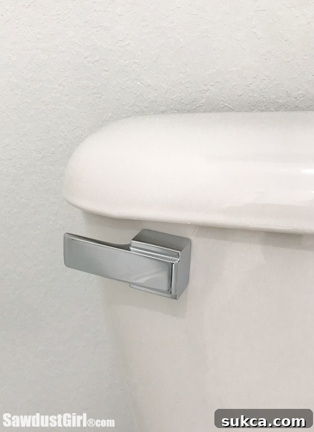 Water closet with flush handle
