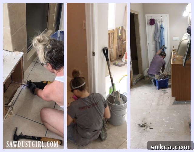 Master bathroom demolition in progress