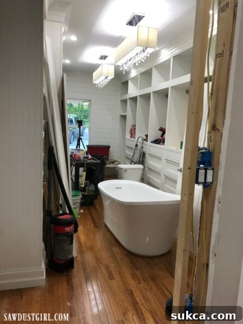 Wall demolition for master bathroom layout change