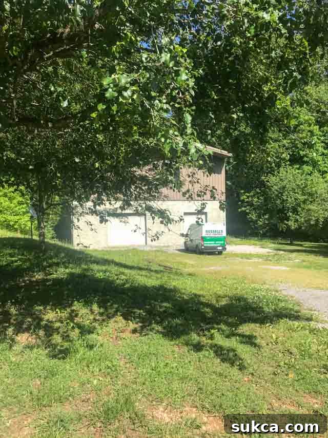 Protecting my new workshop and apartment building with Sentricon