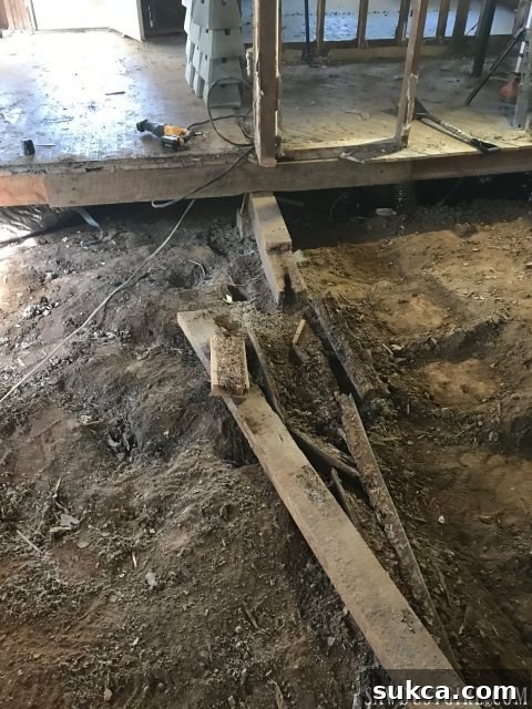Evidence of severe termite damage found at Calderwood Cottage