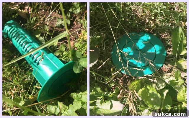 Sentricon termite bait stations ready for installation