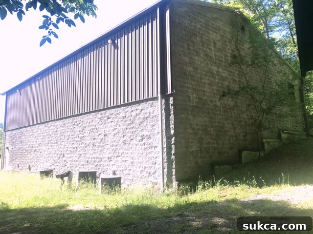 New workshop securely protected against termites with Sentricon system