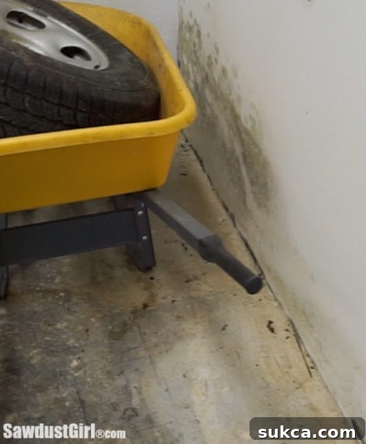 Mold Remediation Preparation Mold growth discovered in the workshop