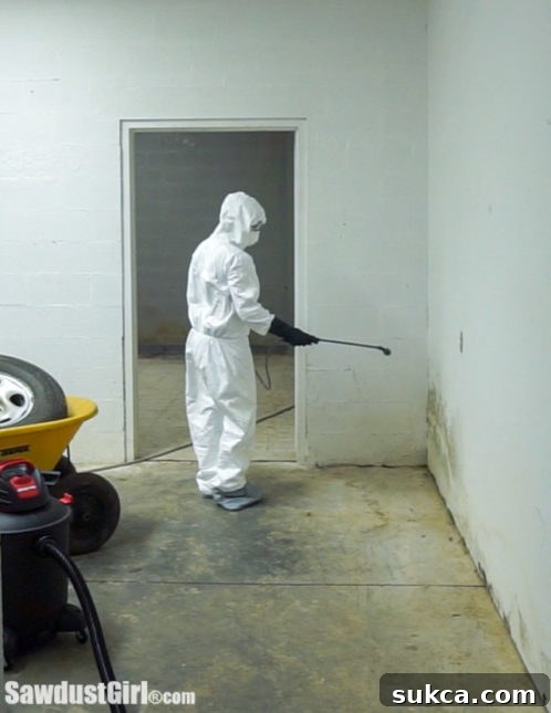 Mold Treatment Application Applying mold killer to affected areas