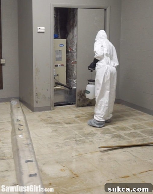 Mold Eradication Process Treating mold on a damp wall