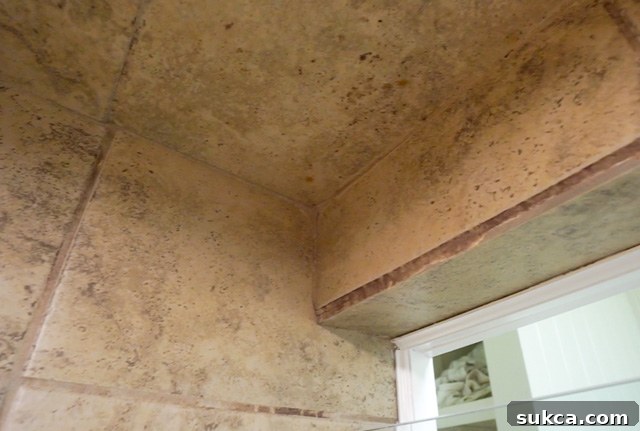 Stained shower tiles Shower with grime and stains