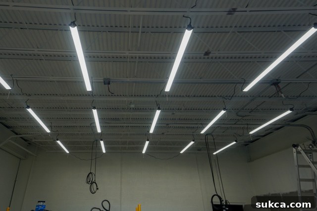 Temporary Workshop Lighting Temporary lighting setup in the renovated workshop