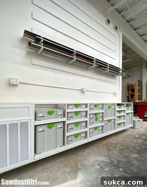 Organized Festool Systainers in new workshop cabinets.