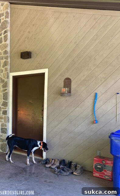 A neighbor's dog, Lulu, near the entryway, highlighting the need for organized space