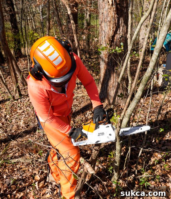 STIHL MSA 160 chainsaw in use Woman using STIHL MSA 160 chainsaw