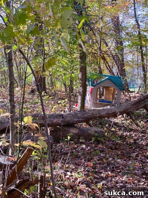 Hidden playhouse in overgrown area Discovered plastic playhouse in the brush