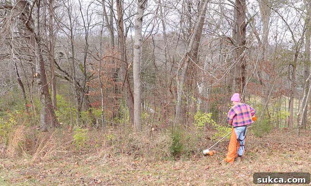 STIHL FSA 85 in use Woman holding STIHL weed trimmer