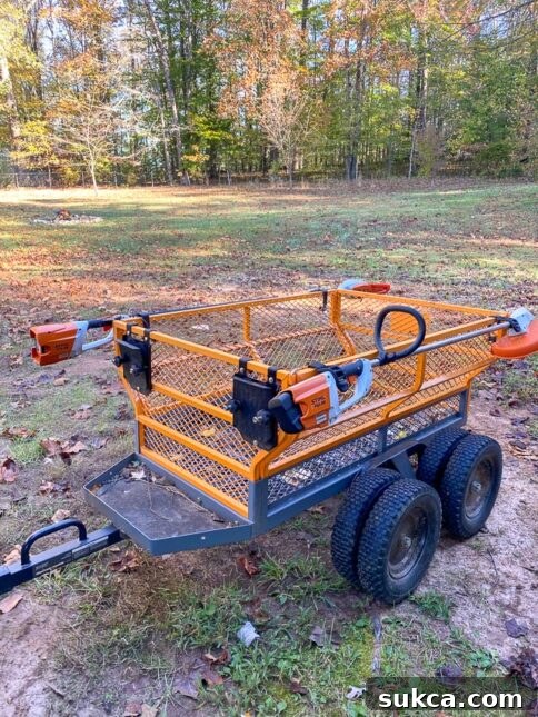 STIHL outdoor power tools for property management Woman operating STIHL power tool in a cleared area