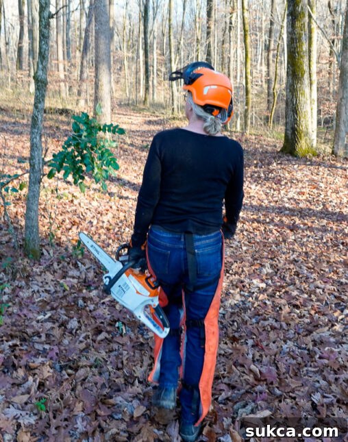 Reliable STIHL battery tools Close-up of STIHL battery-powered tool in hand