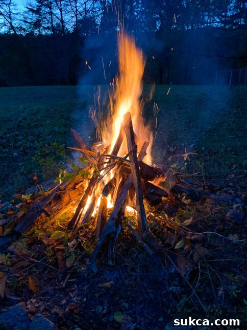 Controlled burn of brush Large fire pit burning cleared branches